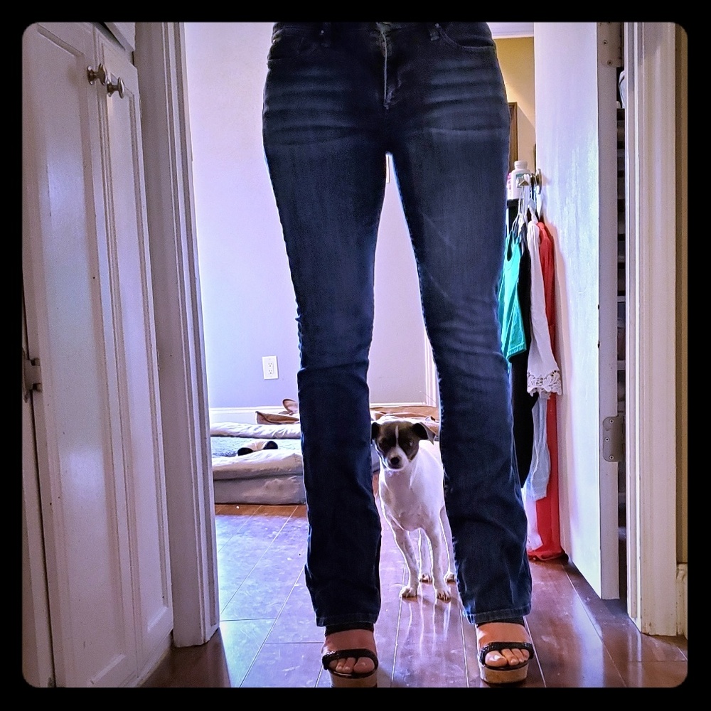 Joe's jeans visionare rocker jeans